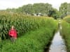 Deurne - langs de maisvelden