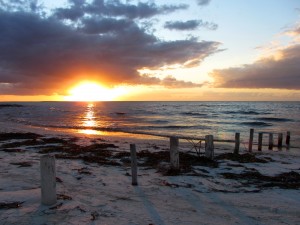 IMG_0162b