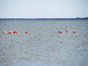 IMG_0256b