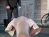 Hond Blake, fotoshoot in Ravenswaaij