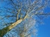 DSC_0589bk