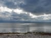 natuur2