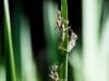 20180421-DSC_8767_editk
