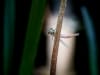20180421-DSC_8917_editk