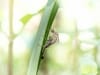 20180503-DSC_9475_editk