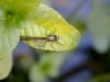20180504-DSC_9498_editk